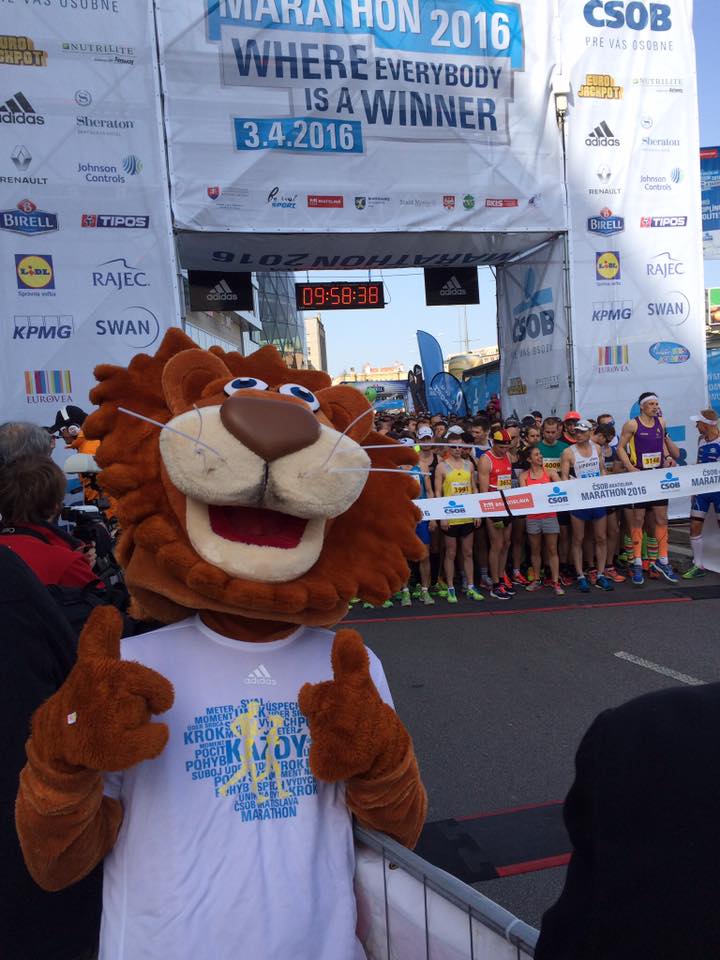 fotosoutez vlozeno z webu