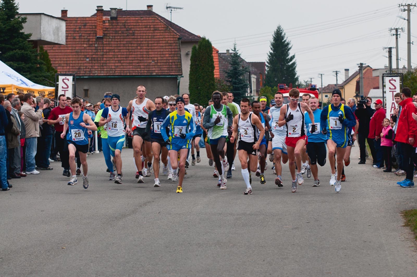 fotosoutez vlozeno z webu