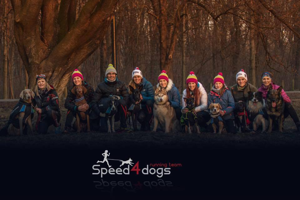 fotosoutez vlozeno z webu