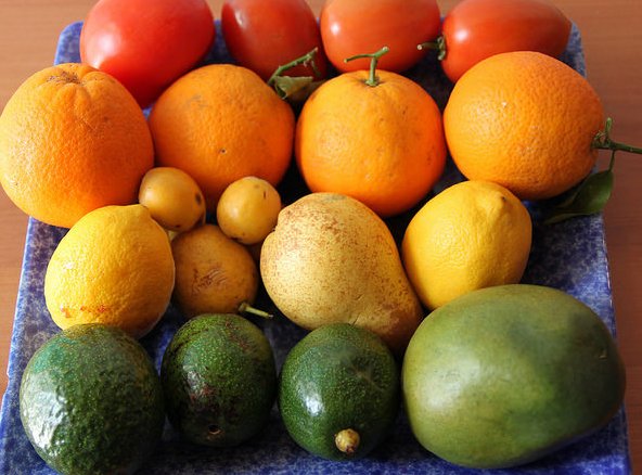 Antioxidanty sú pre zdravie nevyhnutnosťou