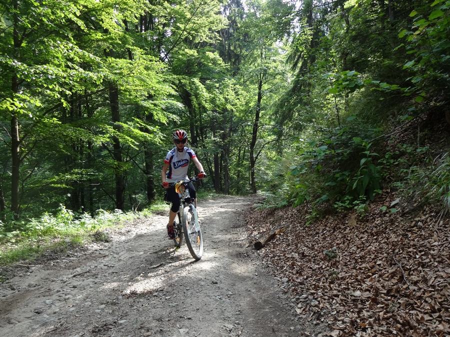 Lucia cyklo škutovky